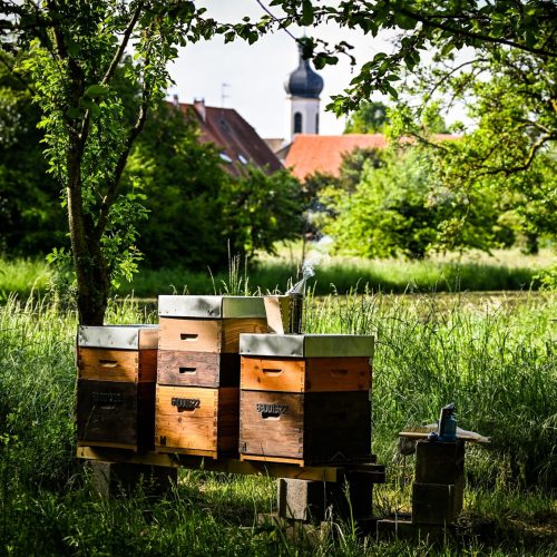 496929132_10230001564597304_1860336745615057717_n