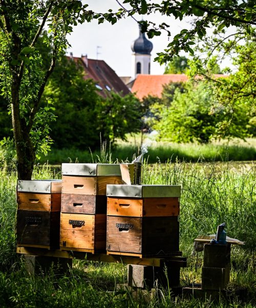 496929132_10230001564597304_1860336745615057717_n